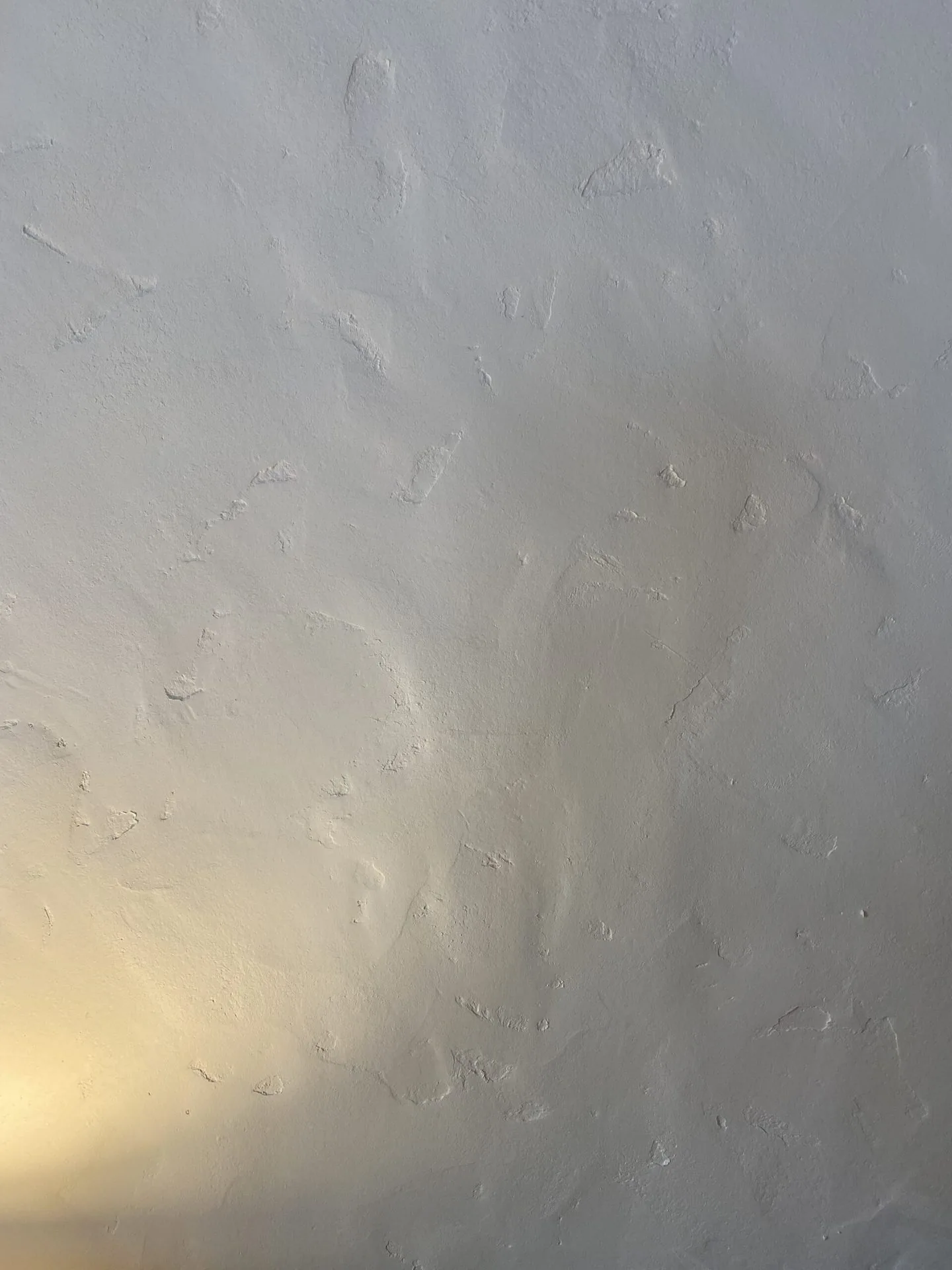 フランス産漆喰の手塗り壁