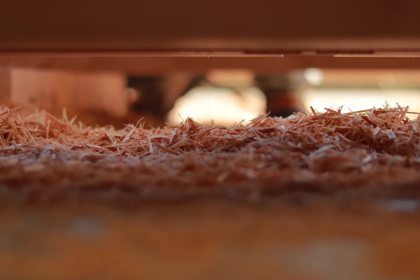 鉋仕上げで生まれる鉋くず